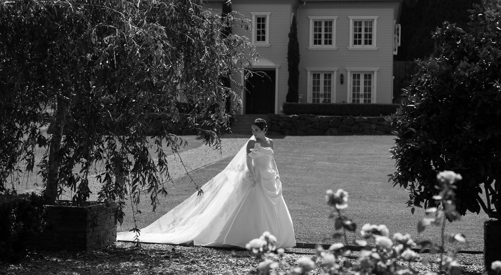 Old Money Elegance